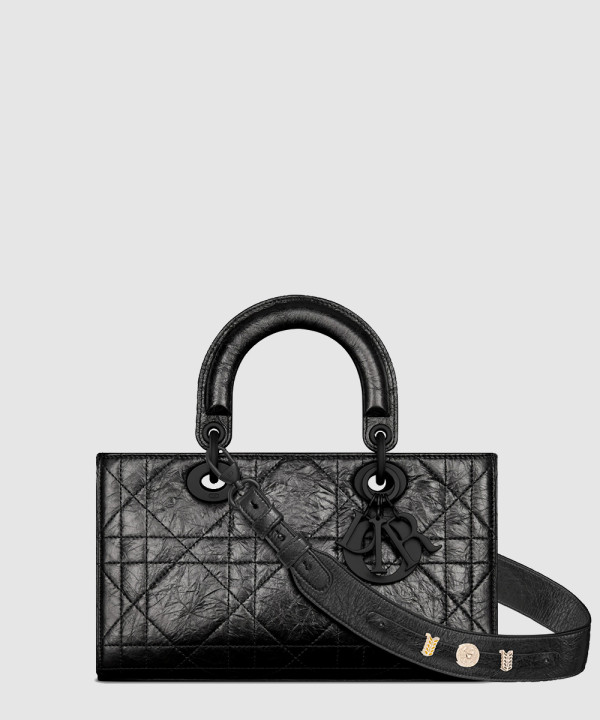 [DIOR-디올]디자이어 레이디백 스몰 ABC M1150
